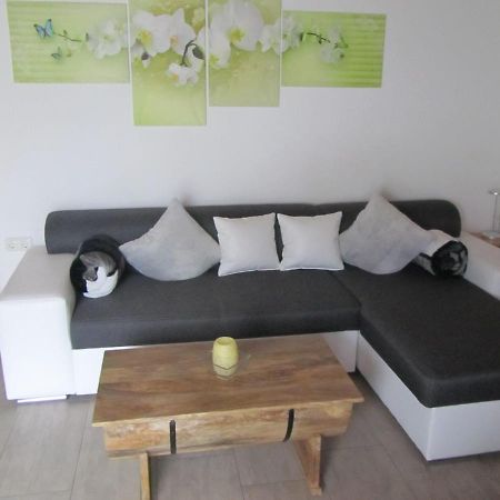 Appartement Marienstrasse à Neukirchen vorm Wald Extérieur photo